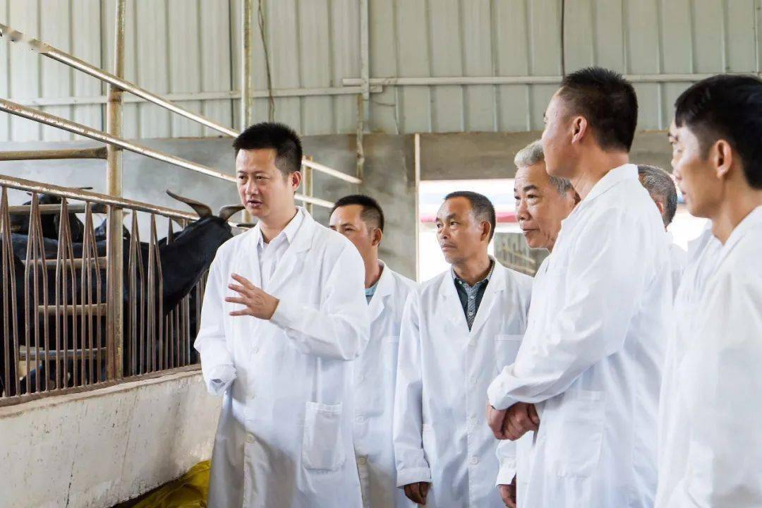 致富养殖好项目大全_致富养殖好项目视频_致富创业网养殖视频