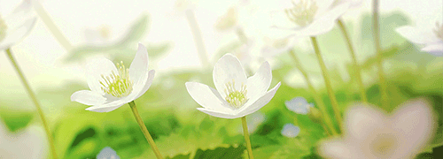 养殖致富经_种植养殖致富骗局_种养致富项目