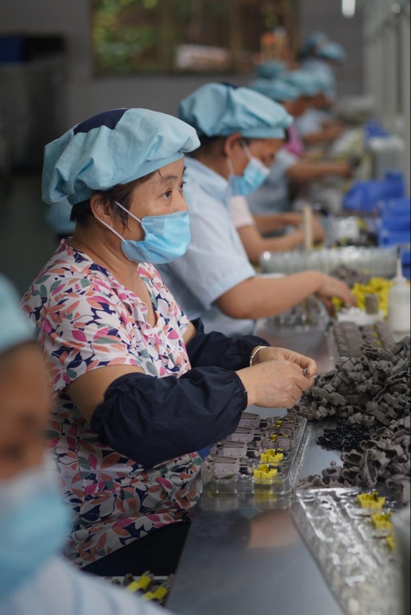 种植麻竹笋致富_麻竹笋高产技术_致富麻笋竹种植视频