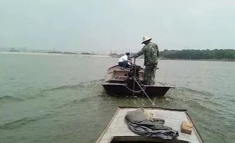 鲢鳙鱼的养殖技术_鲢鱼养殖视频_鲢鳙鱼养殖成本及利润