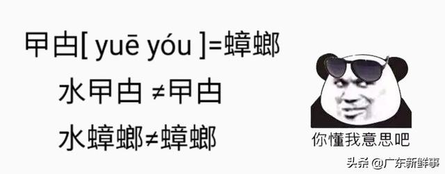 致富经养虫子鸡视频全集_致富经昆虫养殖_食用虫养殖致富