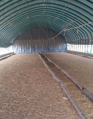 蛋鸭养殖网床养殖技术_养鸭网床制作方法视频_网床养蛋鸭设计图