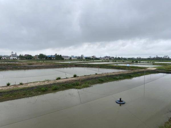 致富网泥鳅养殖_泥鳅养殖网站_致富经养殖泥鳅视频
