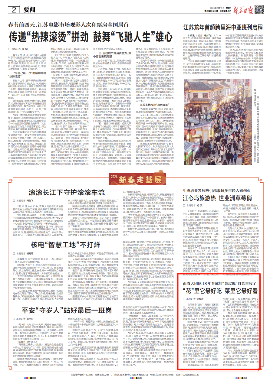 【新华日报】南农大团队18年育成的“黄玫瑰”白菜丰收了