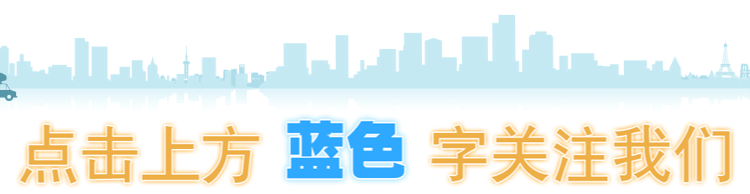 养一只加菲猫的成本_加菲猫养殖致富_养殖加菲猫挣钱吗