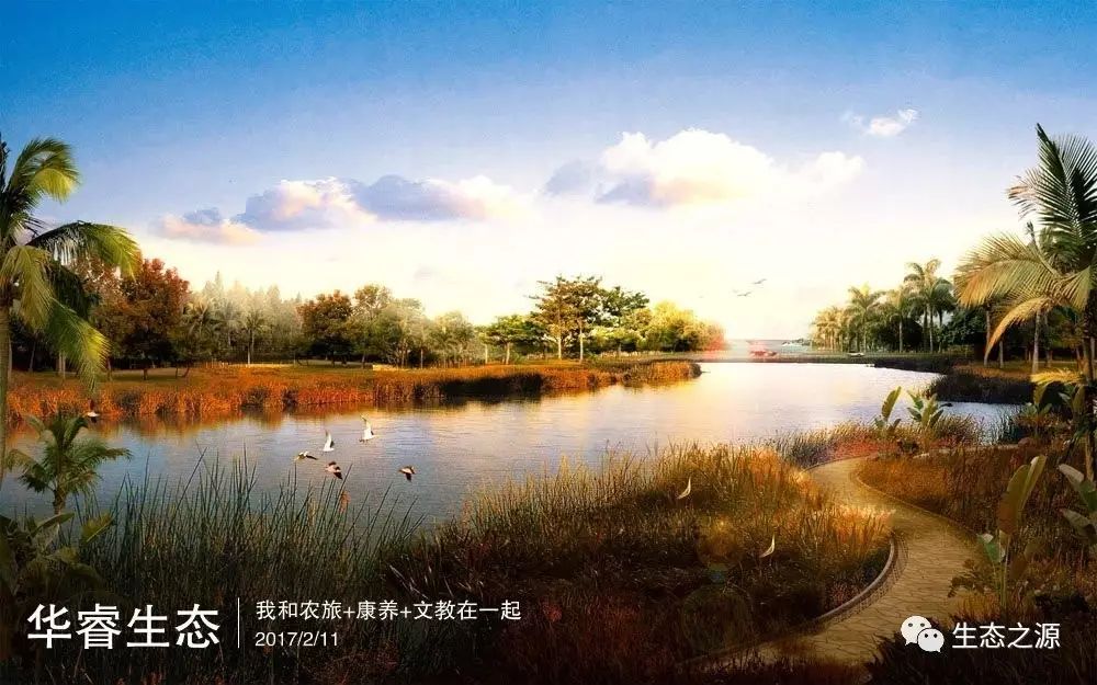 养一只加菲猫的成本_养殖加菲猫挣钱吗_加菲猫养殖致富