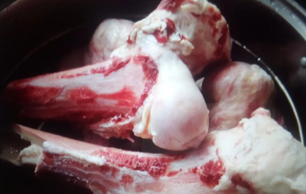 地牯牛种植_有没有养殖地牯牛的_地牯牛养殖致富