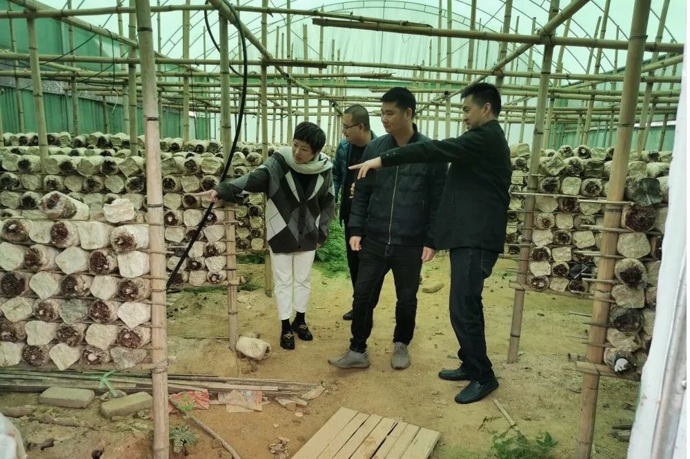 致富经福建漳州_福建漳州扶贫_福建漳州富不富
