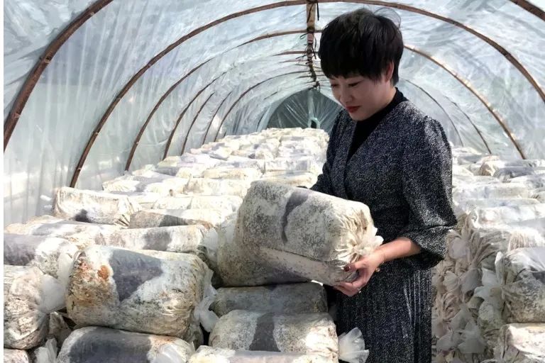 福建漳州扶贫_致富经福建漳州_福建漳州富不富