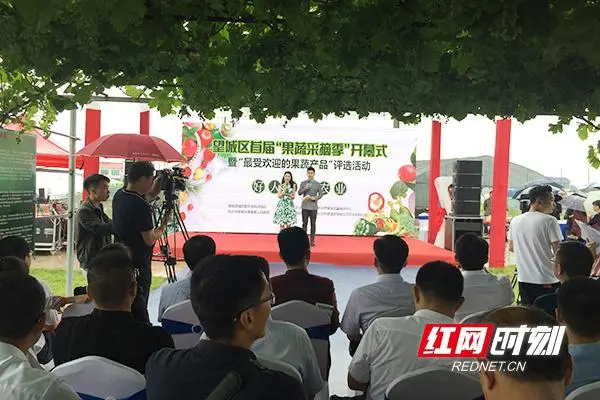 节假日带孩子享“田园童趣” 长沙市望城区“果蔬采摘季”来了