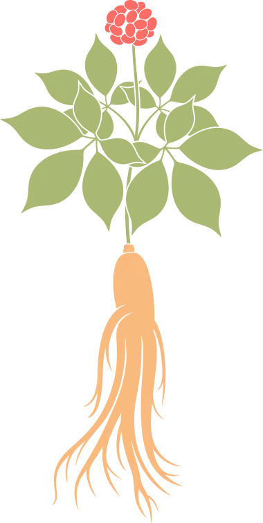 优质课经验分享稿_优质课交流发言材料_优质课获奖经验发言稿题目