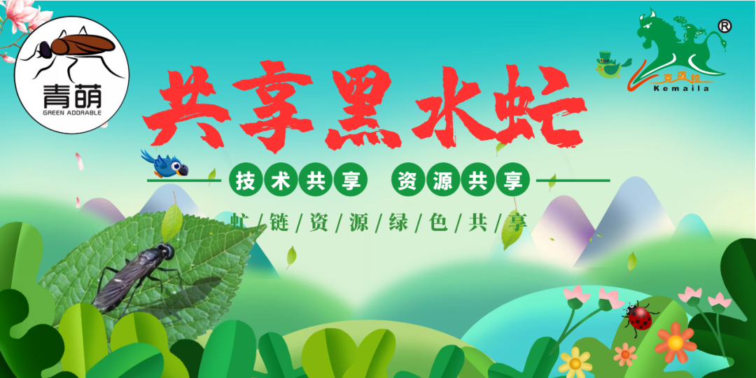 大麦虫湿料养殖技术_大麦虫湿度大会死不_大麦虫养殖温度和湿度