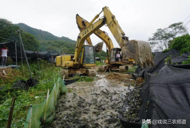 致富养殖业道路政策新规_致富养殖业道路政策新闻报道_养殖业致富新道路政策
