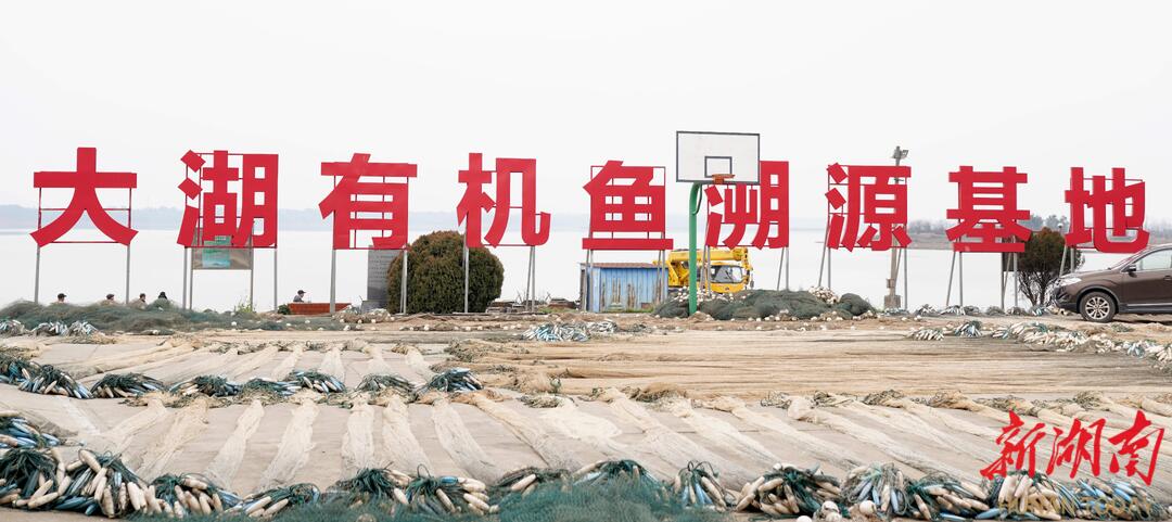 鱼类养殖网箱_网箱鳊鱼的养殖技术_网箱养殖技术视频