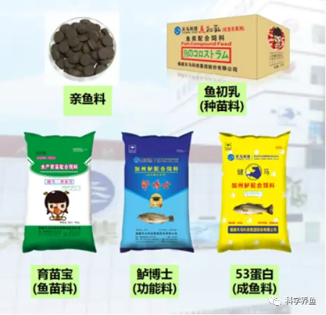 流水养殖鲈鱼致富_致富经鲈鱼流水养殖_流水养殖鲈鱼技术要点
