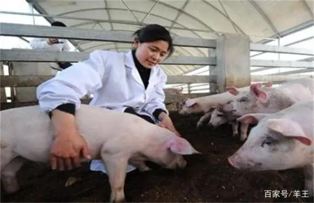 致富养殖传统设备有什么_致富养殖传统设备有哪些_传统养殖致富设备