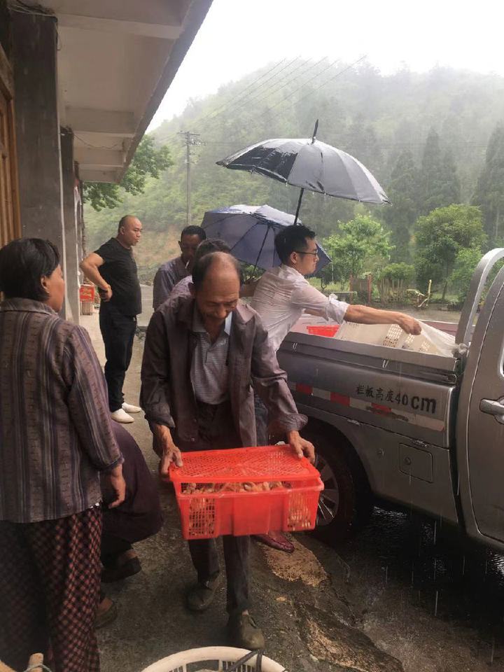 养殖土鸡致富人_土鸡养殖致富经2019年全集_致富养殖土鸡人怎么样