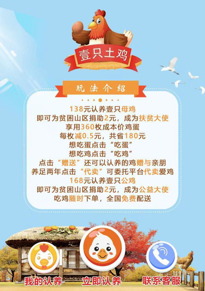 养殖土鸡致富人_土鸡养殖致富经2019年全集_致富养殖土鸡人怎么样