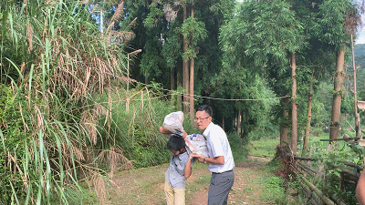致富养殖土鸡人怎么样_养殖土鸡致富人_土鸡养殖致富经2019年全集