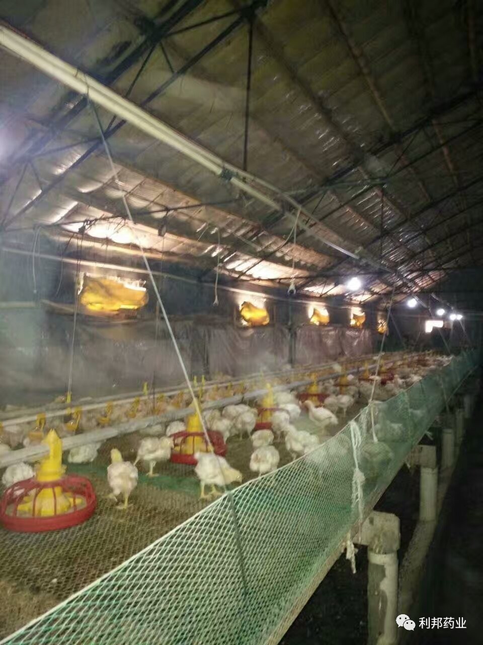 致富养殖业_养殖致富项目视频_养殖致富案例视频