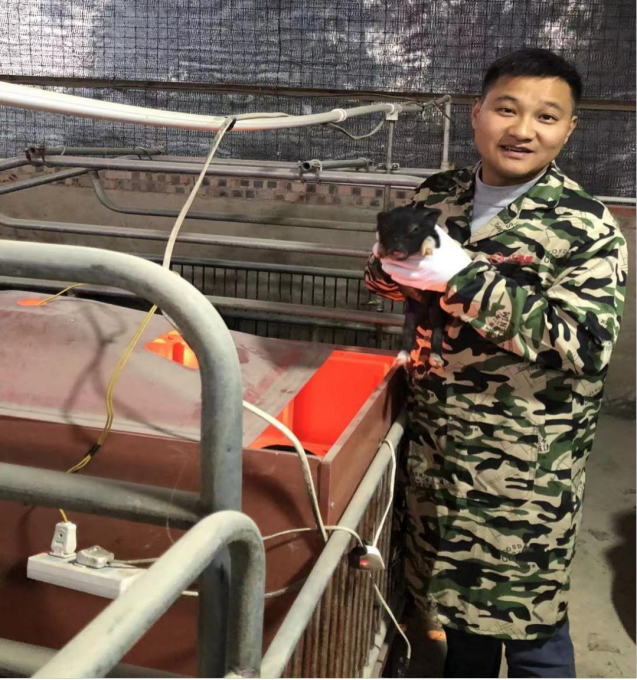 养殖土鸡致富人_致富经农村养土鸡视频_致富养殖土鸡人怎么样