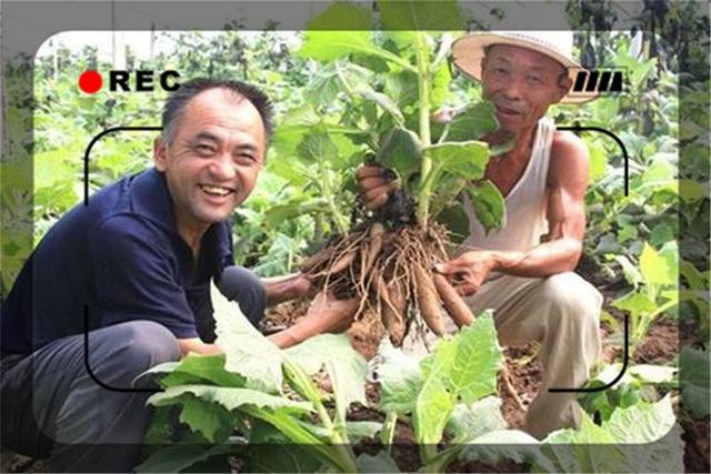 乡村种植水果致富_农村种植水果有前景吗_农村水果种植