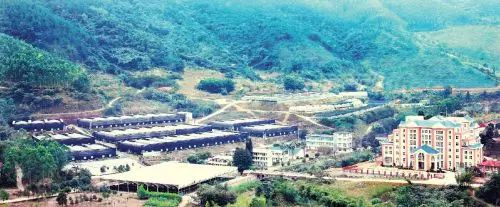 山兰花种植技术_山上兰花怎么种_兰花种植技术视频教程