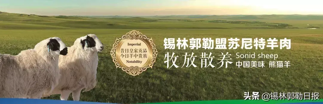 白天鹅养殖基地的视频_致富经白天鹅养殖_天鹅养殖技术视频教程