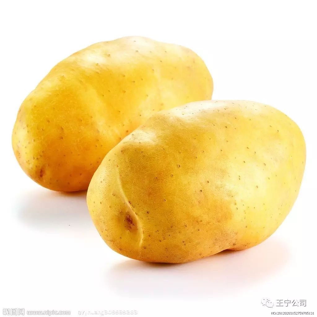 土豆种植地膜技术与管理_地膜土豆种植技术_土豆地膜高产种植技术视频