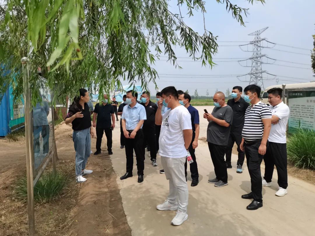 山东蚂蚱养殖基地_山东蚂蚱养殖技术_山东蚂蚱养殖现状