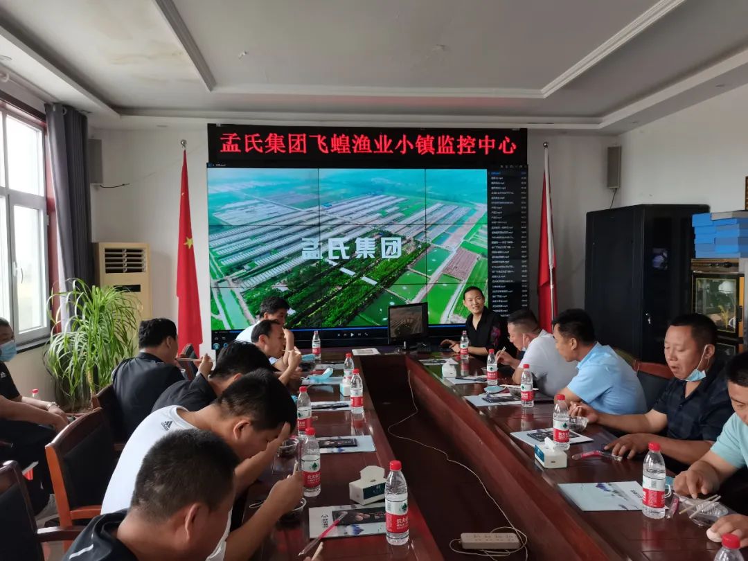 山东蚂蚱养殖技术_山东蚂蚱养殖现状_山东蚂蚱养殖基地