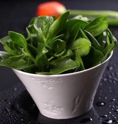 云南种植技术茨菇基地_云南茨菇种植技术_云南茨菇功效与作用
