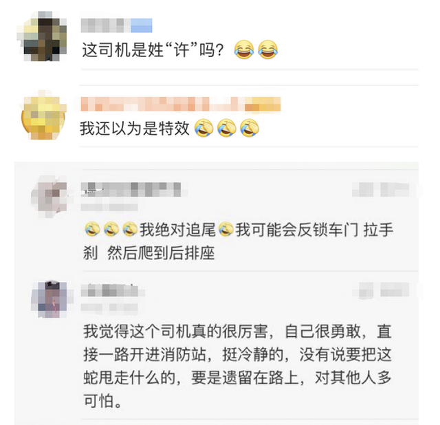 致富经养乌梢蛇的视频_致富经乌梢蛇养殖视频_养乌梢蛇前景如何