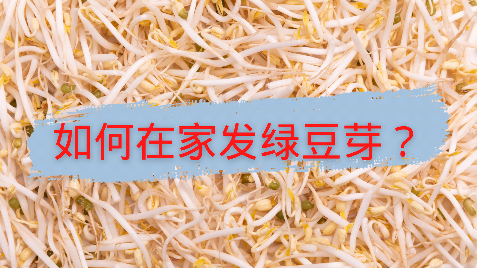 如何发绿豆芽？发豆芽要几天？最佳温度是多少？
