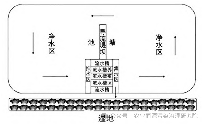 田螺养殖技术视频_养殖田螺的视频_视频养殖田螺技术大全