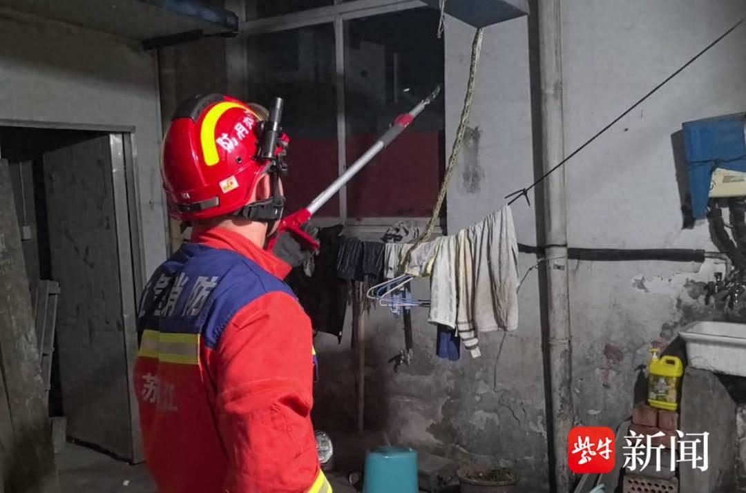 养乌梢蛇前景如何_致富经养乌梢蛇的视频_致富经乌梢蛇养殖视频