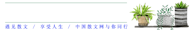 致富经耿_致富经耿_致富经耿