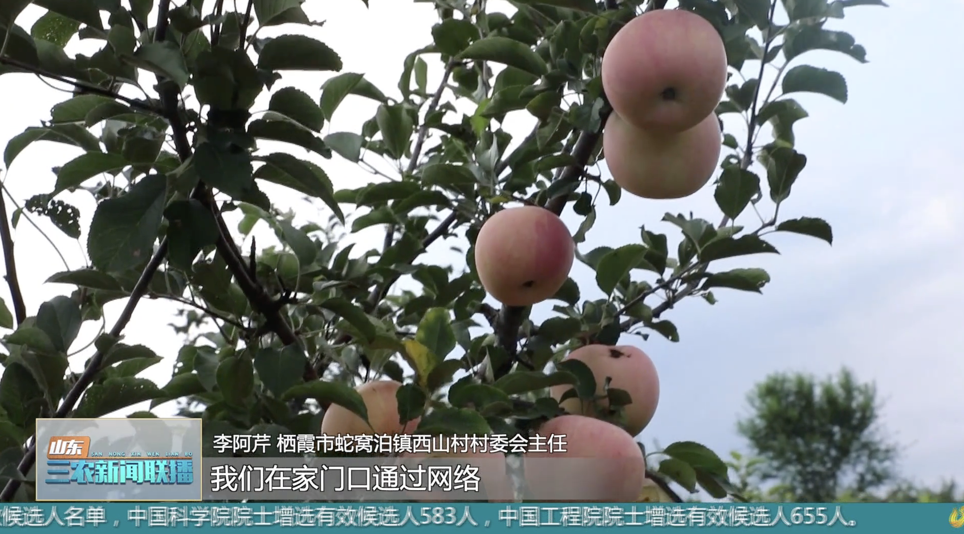 致富经张志红大米_致富经李志强_致富经张志龙地址