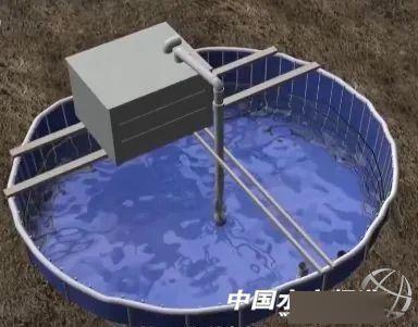 视频养殖鲈鱼技术方法_养殖鲈鱼技术视频_鲈鱼养殖技术视频致富经