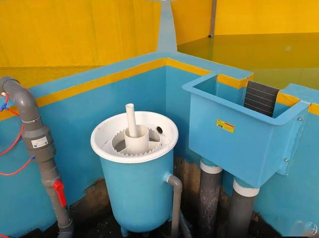 视频养殖鲈鱼技术方法_养殖鲈鱼技术视频_鲈鱼养殖技术视频致富经