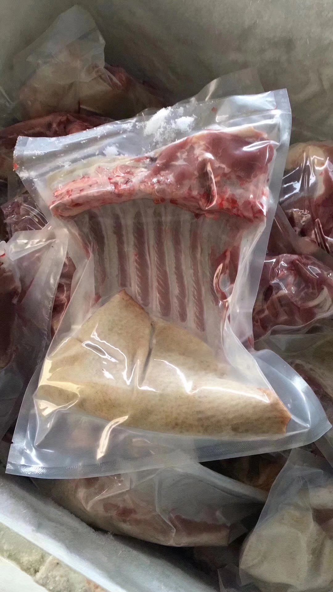 猪肉养殖致富新路_养猪致富之路_致富经生态养殖猪视频