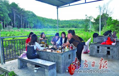 烤红薯致富经_致富经红薯藤养猪_致富经红薯种植人