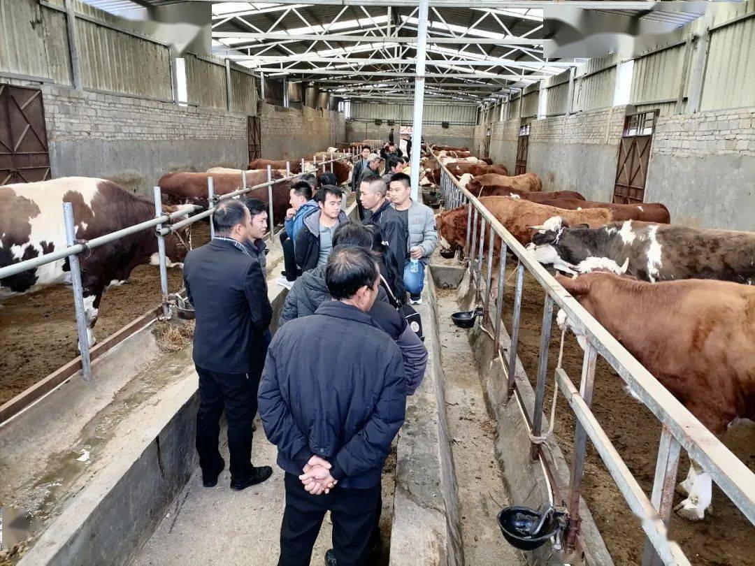 养殖致富带头人 新闻_致富养殖带头人作用发挥_养殖业致富带头人主要事迹