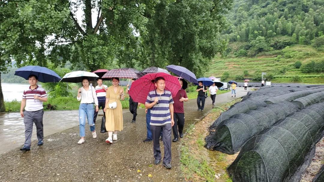 致富经养殖鱼视频_致富三农视频养鱼_致富经河道养鱼视频