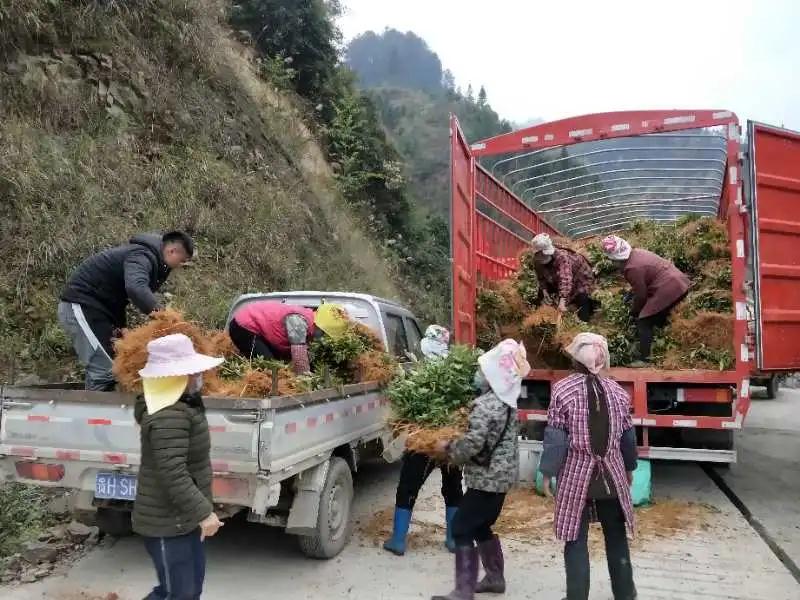 致富经养殖鱼视频_致富三农视频养鱼_致富经河道养鱼视频