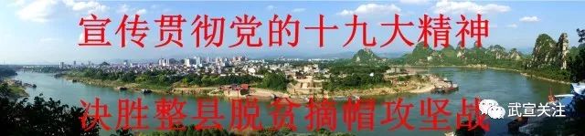 武宣桐岭镇“一品金瓜”哈密瓜节请您来吃瓜啦！还有抓鸭子猪仔、上刀山下火海……