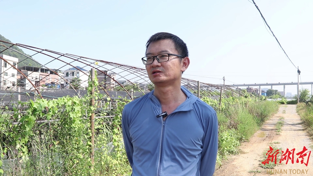 2019火龙果致富经_火龙果树多久长果_2019年致富小项目