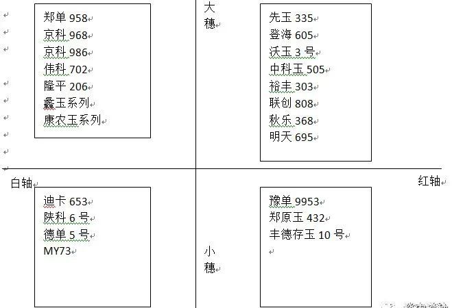 青贮玉米种植成本_致富经种植青贮玉米_种青贮玉米赚钱吗