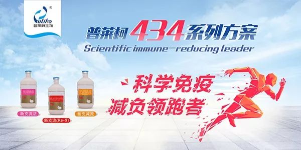 蛋鸡饲养管理技术要点_蛋鸡养殖技术与管理_蛋鸡养殖技术要点