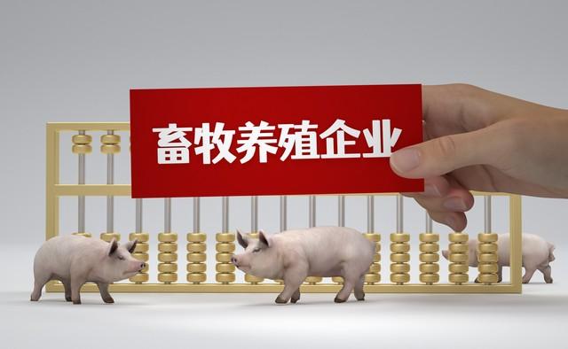 致富养殖课堂小结怎么写_养殖致富经视频_养殖致富小课堂
